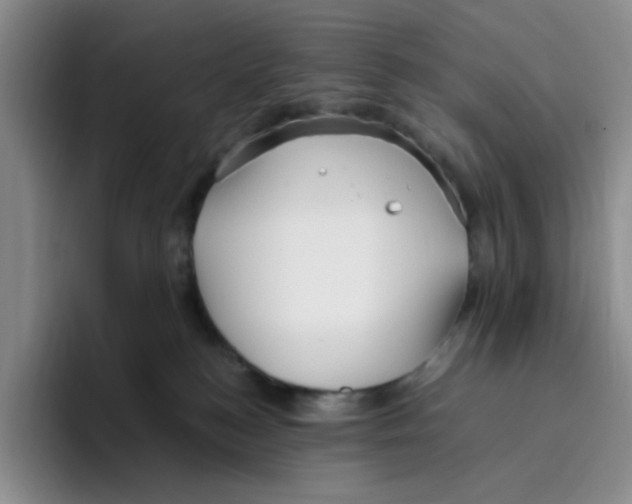 X0000096160184200802151422