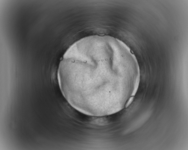 X0000096160185200802151422