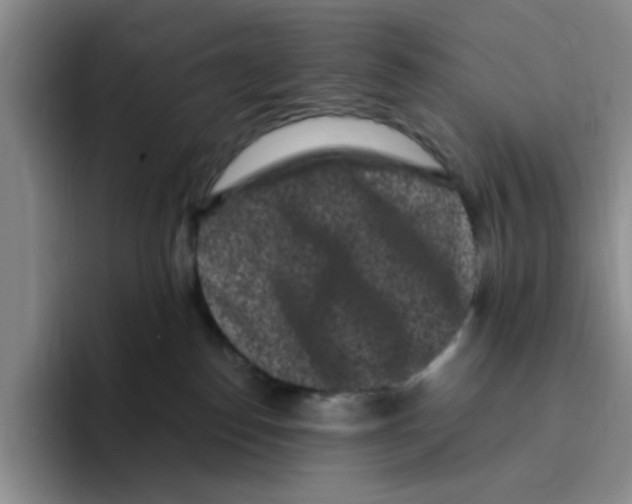 X0000096160186200802151422