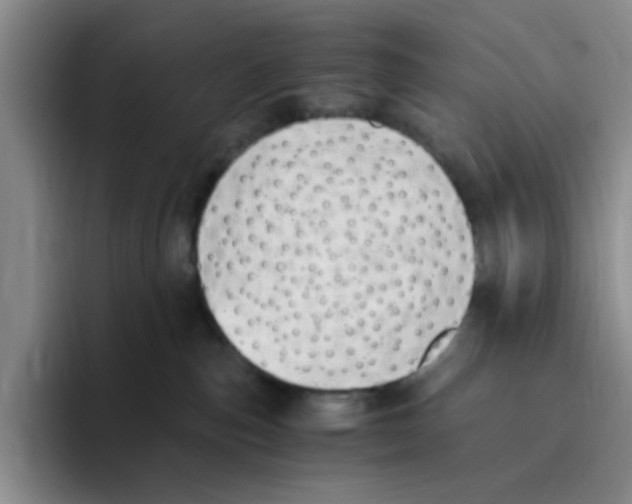 X0000096160187200802151422