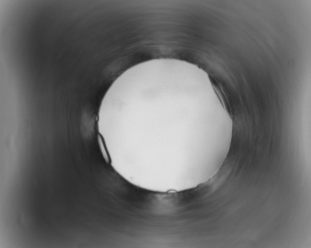 X0000096160188200802151422