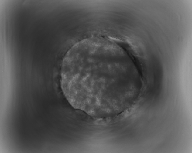 X0000096160192200802151422