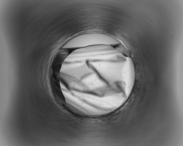 X0000096160193200802151421