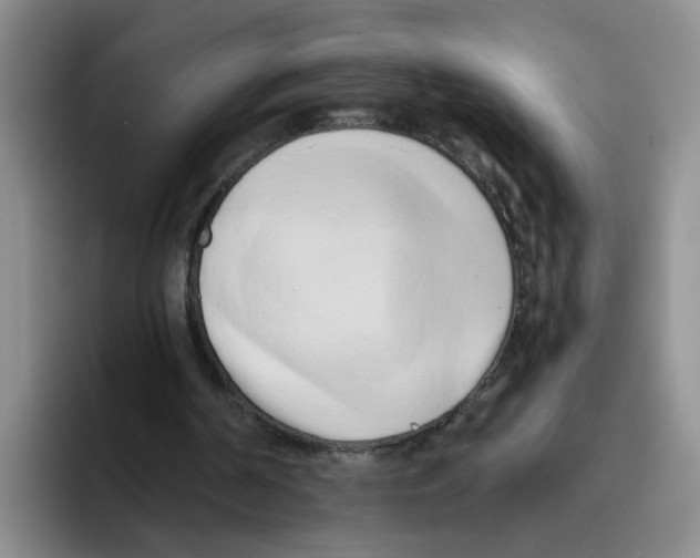 X0000096160194200802151421