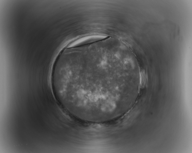 X0000096160195200802151421