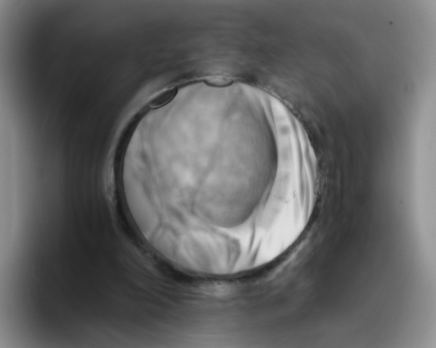 X0000096160198200802151421