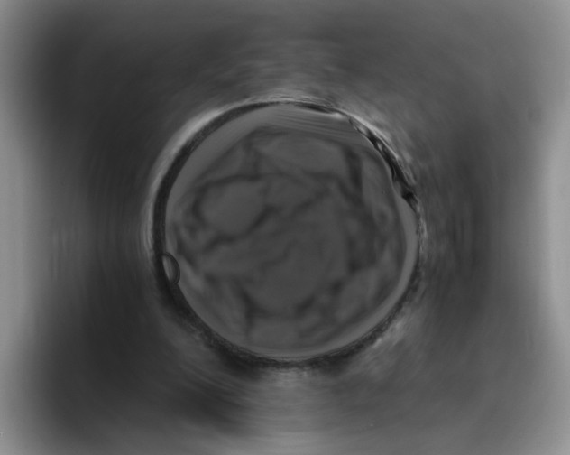 X0000096160200200802151421