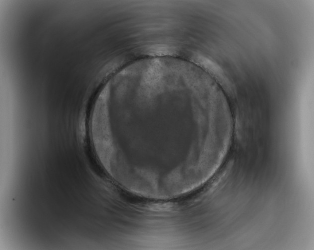 X0000096160202200802151421