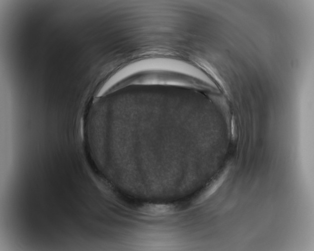 X0000096160205200802151421