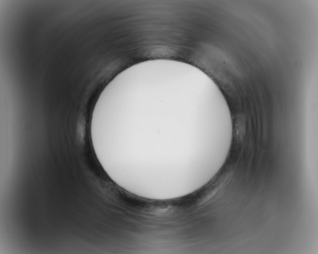 X0000096160206200802151421