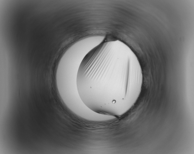 X0000096160207200802151421