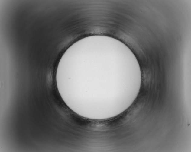 X0000096160208200802151421