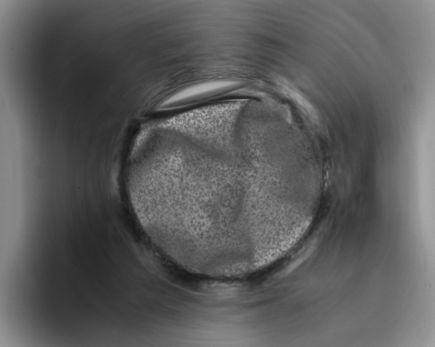 X0000096160209200802151421