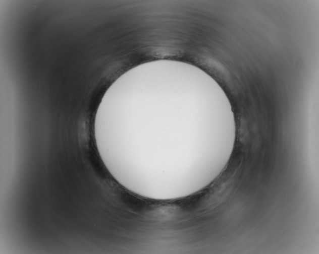 X0000096160210200802151421