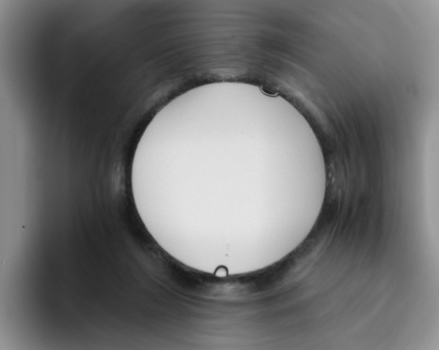 X0000096160212200802151421