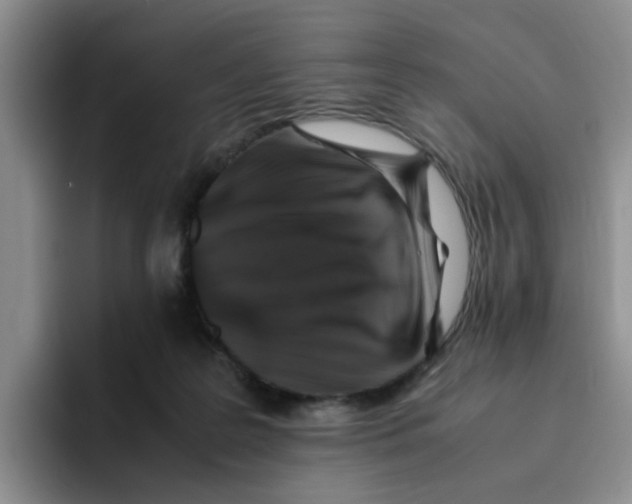 X0000096160219200802151421