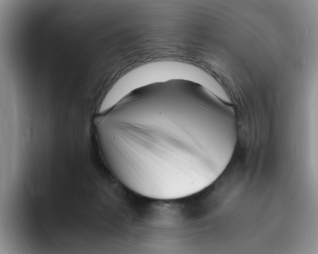 X0000096160221200802151421