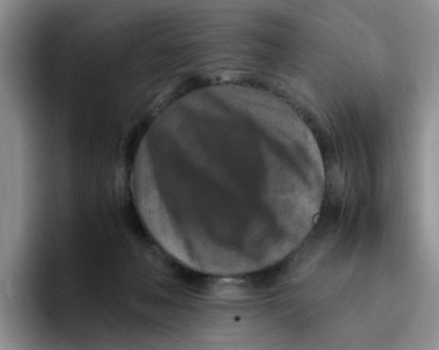 X0000096160222200802151421