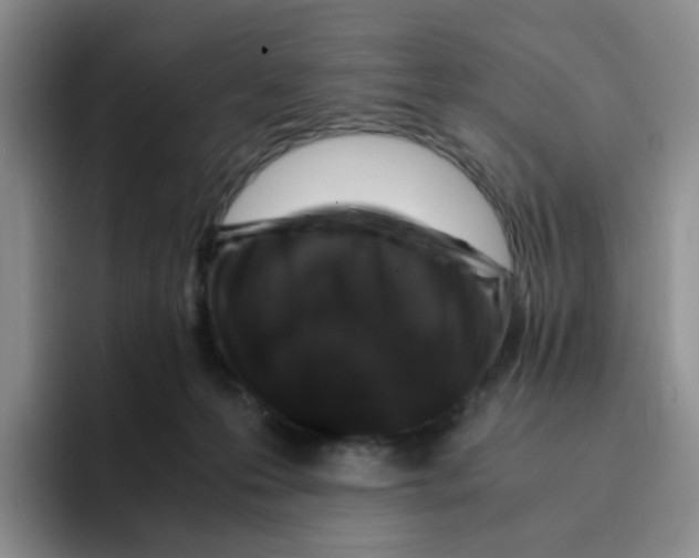 X0000096160223200802151421