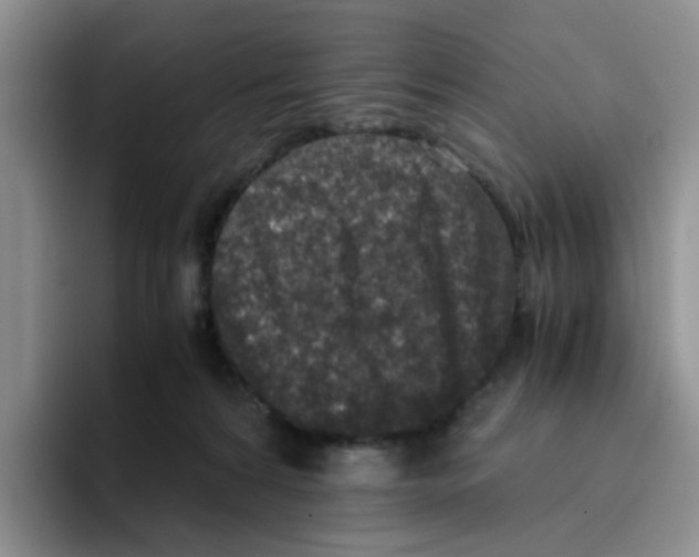 X0000096160224200802151421