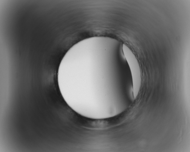 X0000096160225200802151421