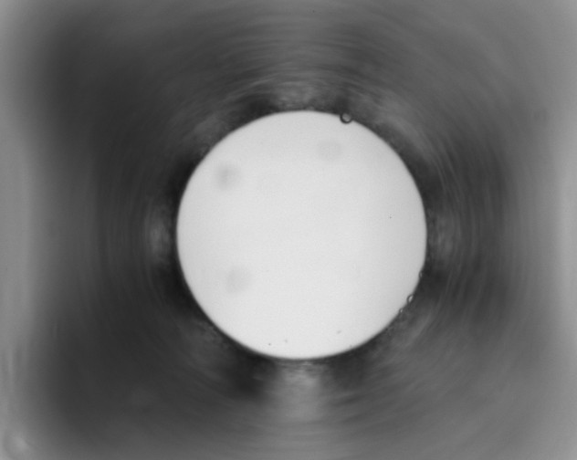 X0000096160226200802151421