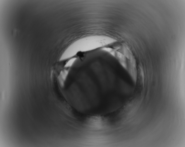 X0000096160227200802151421