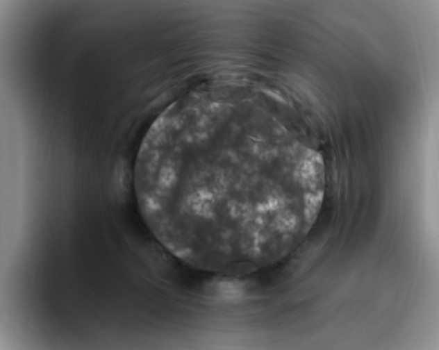 X0000096160228200802151421