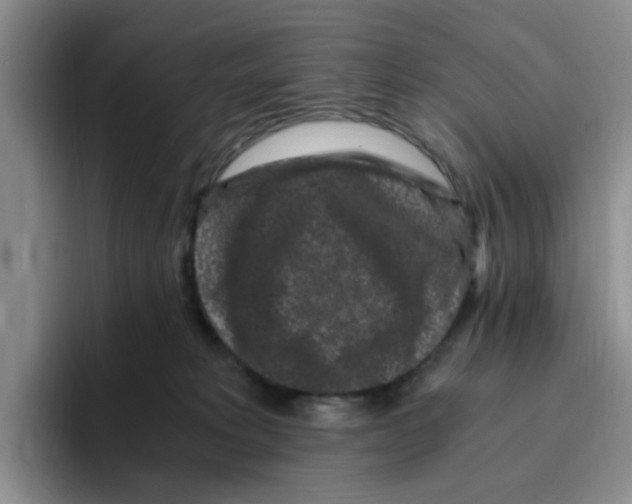 X0000096160229200802151421