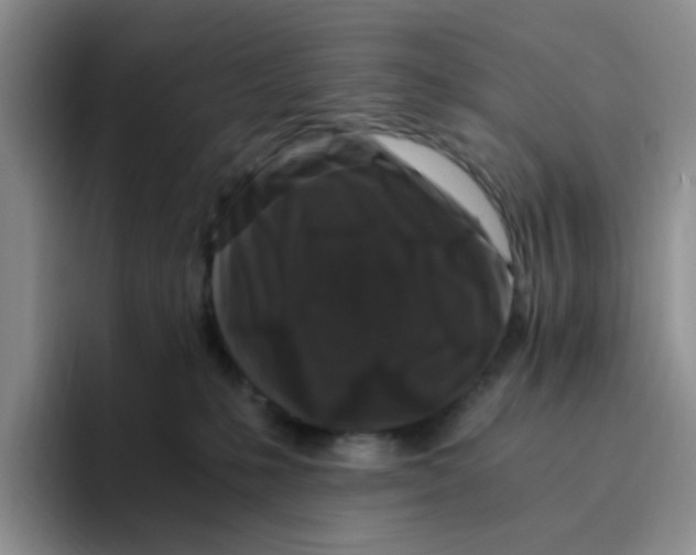 X0000096160231200802151421