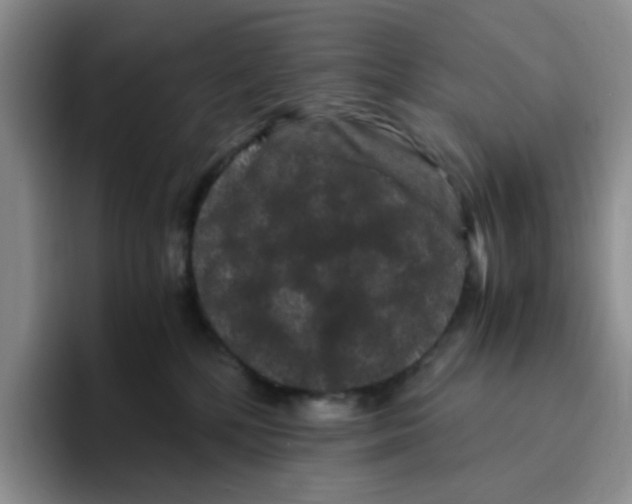 X0000096160232200802151421