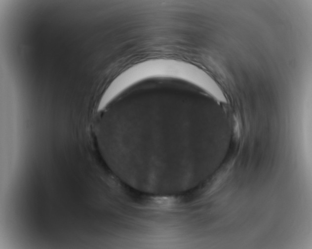 X0000096160233200802151421