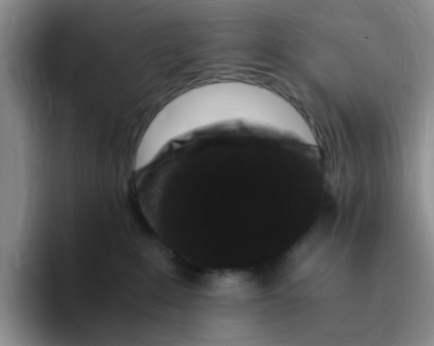 X0000096160235200802151421