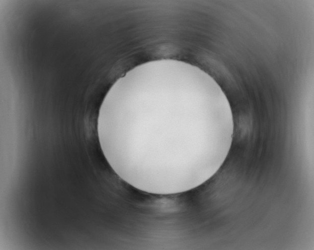 X0000096160236200802151421