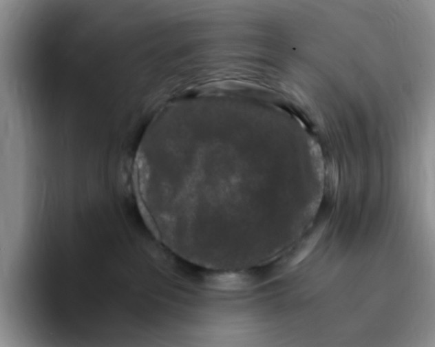 X0000096160237200802151421