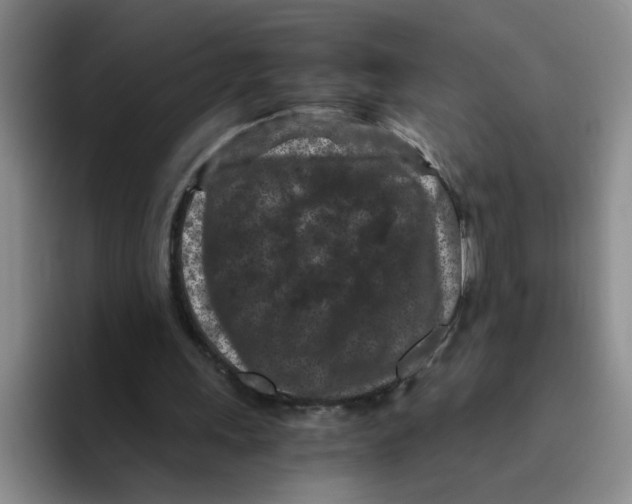 X0000096160243200802151420