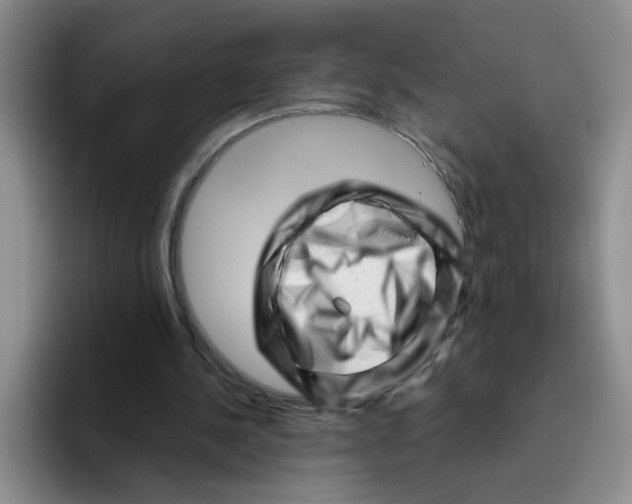 X0000096160244200802151420