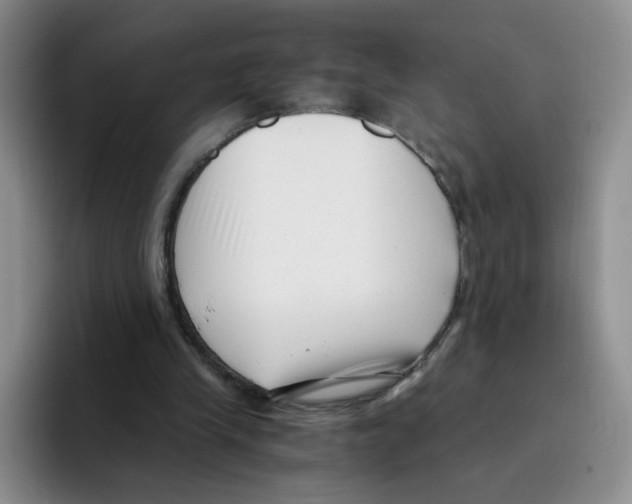 X0000096160245200802151420