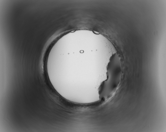 X0000096160246200802151420