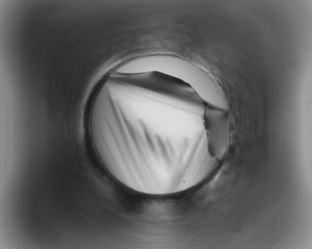 X0000096160248200802151420