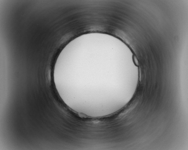 X0000096160253200802151420