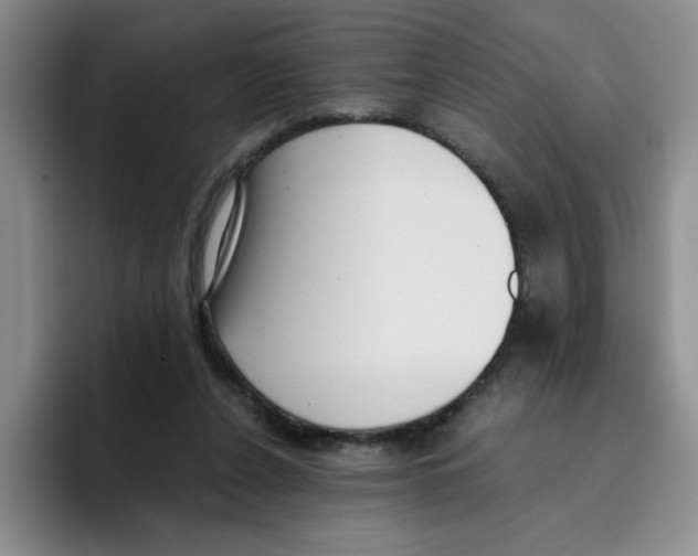 X0000096160256200802151420