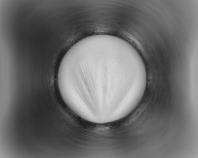 X0000096160257200802151420