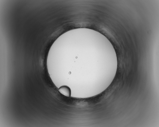 X0000096160258200802151420