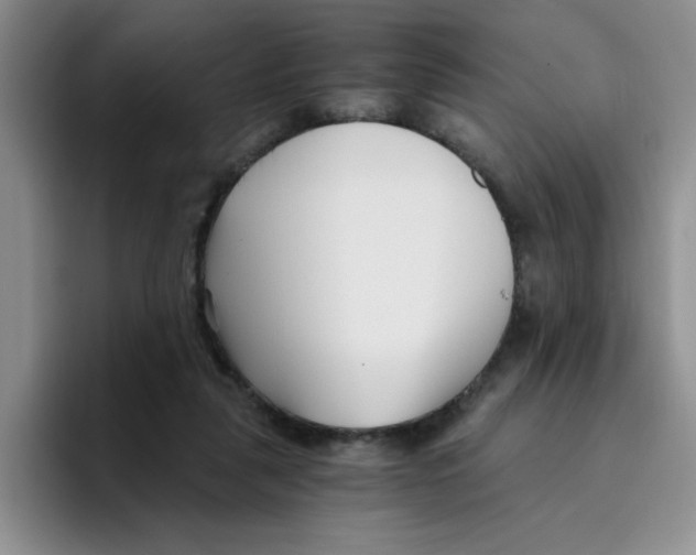 X0000096160259200802151420