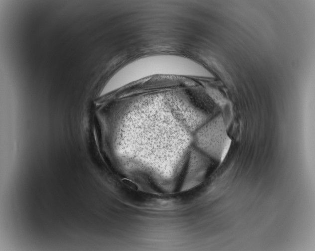 X0000096160260200802151420