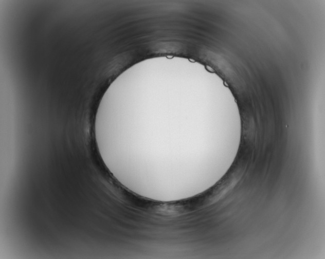 X0000096160261200802151420