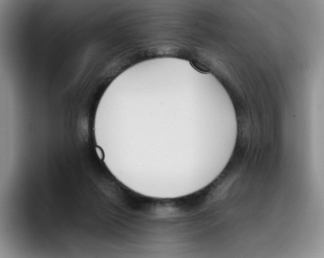 X0000096160262200802151420