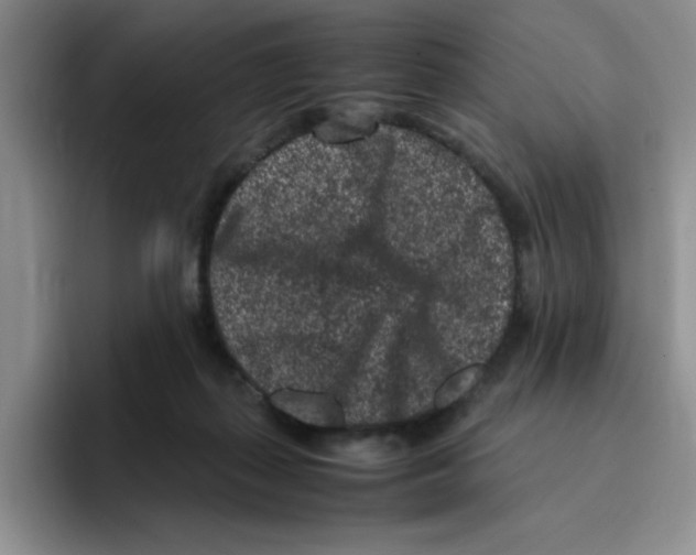 X0000096160267200802151420