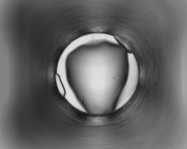 X0000096160268200802151421